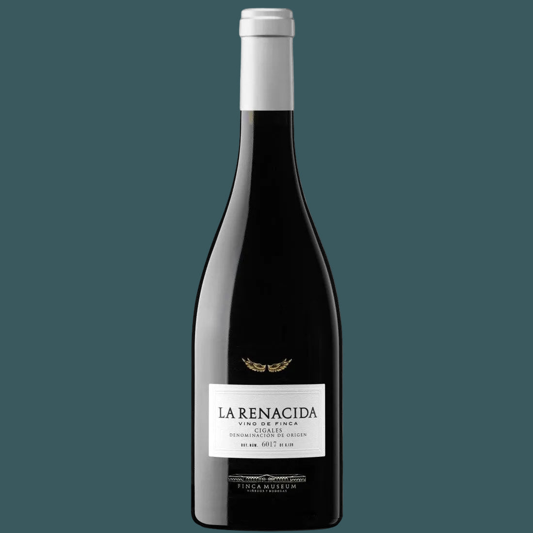 Finca Museum La Renacida 2023, Spanje